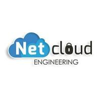 netcloudengineering's Avatar